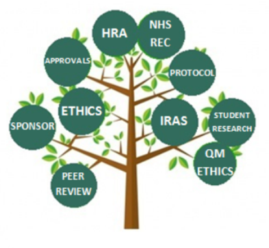 The JRMO's research tree image